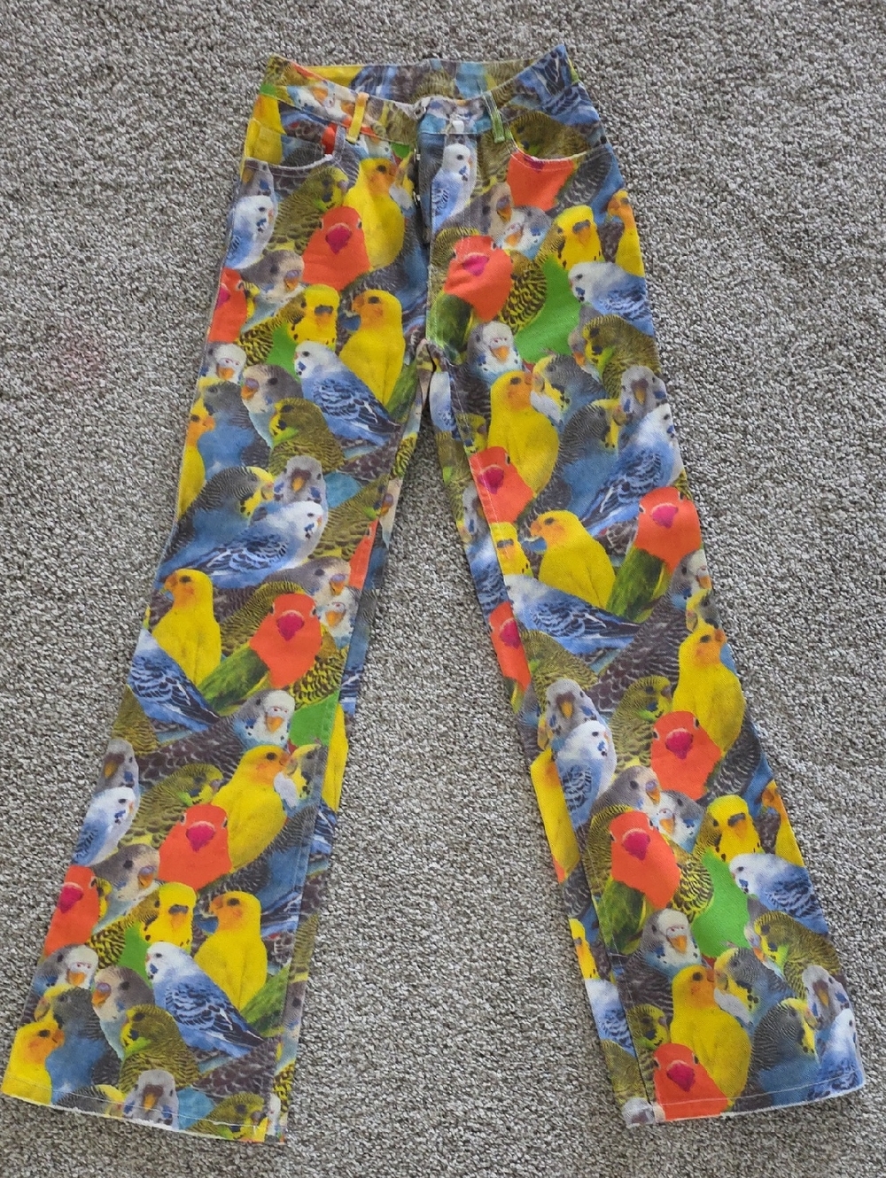 Loewe Multicolor Parakeet-Print Pants